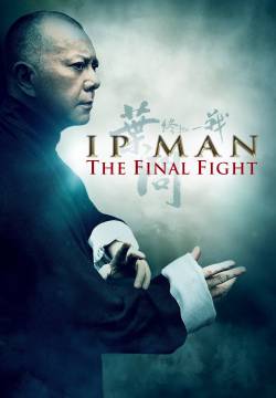 Ip Man: The Final Fight (2013)