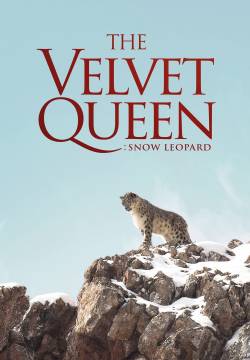 La Panthère des neiges: The Velvet Queen - La pantera delle nevi (2021)