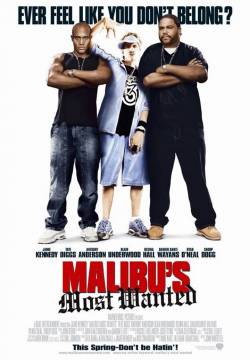Malibu's Most Wanted - Rapimento a Malibù (2003)